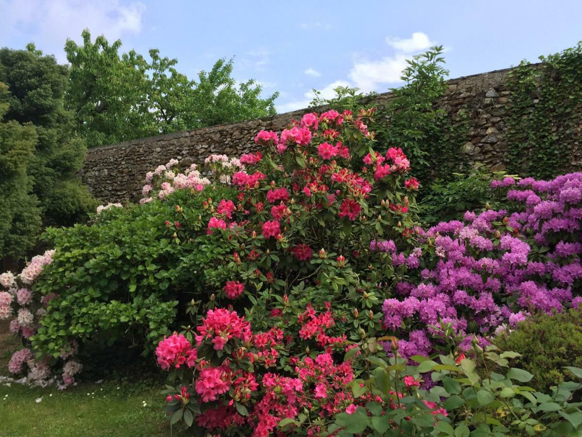 Domaine Des Trois Chateaux Moisenay Bagian luar foto